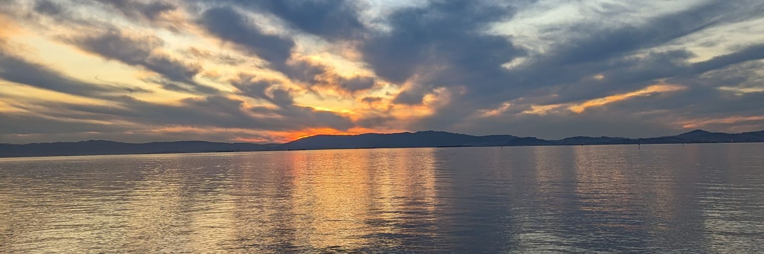 Bripulz's profile banner image