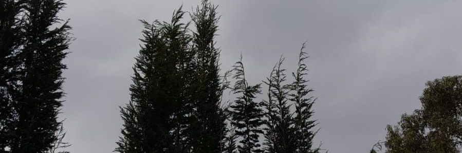 edugalindoa's profile banner image