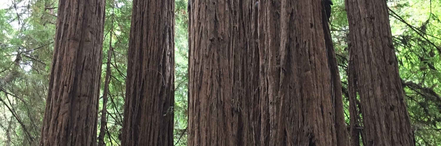 pfarr222's profile banner image