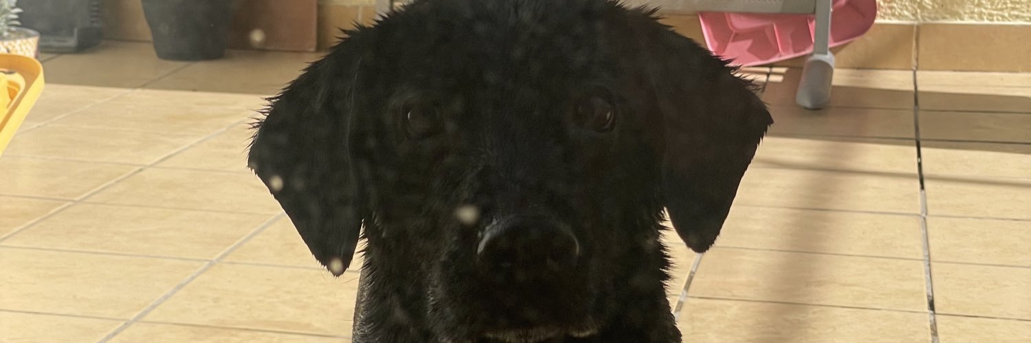 fresquiburger's profile banner image