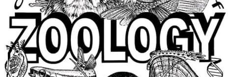 Zamaani4's profile banner image