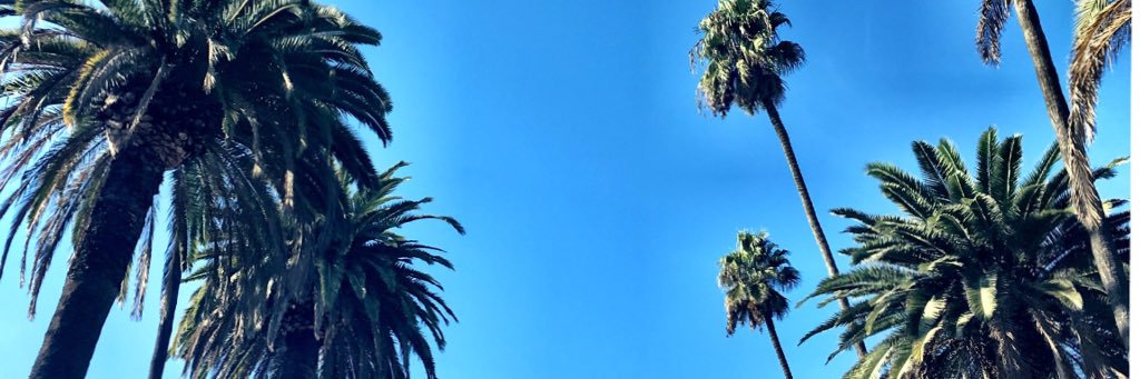iluvtamara's profile banner image