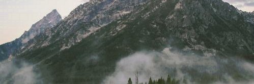 krish legahon banner