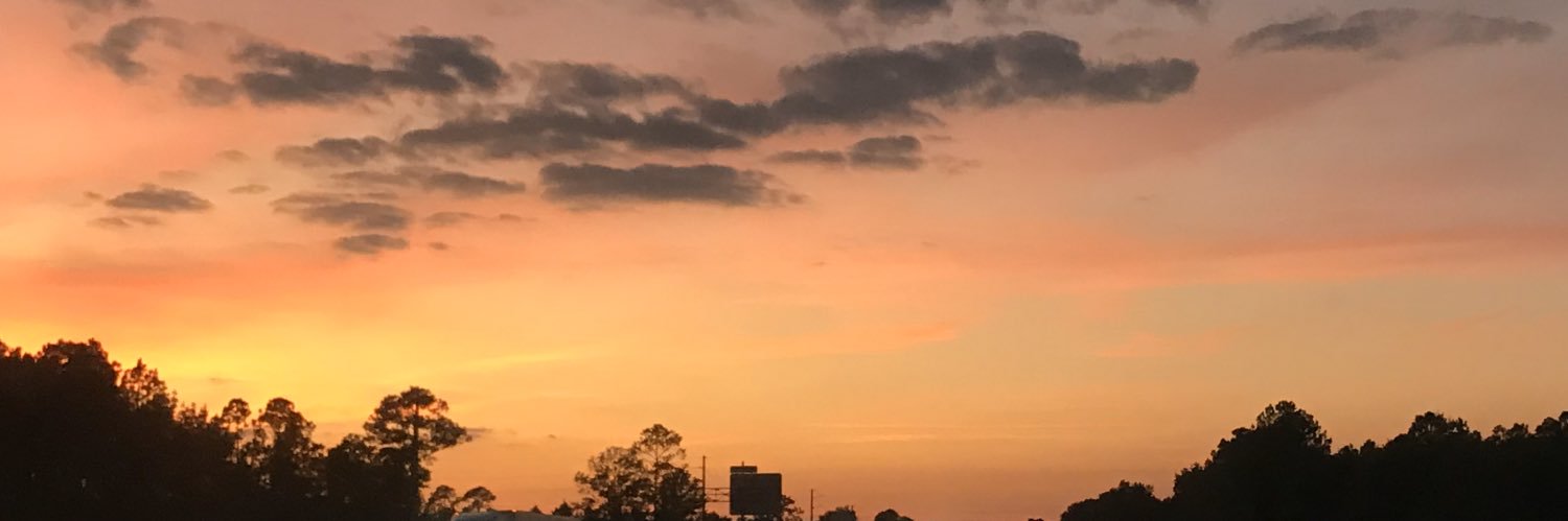 tareaya's profile banner image