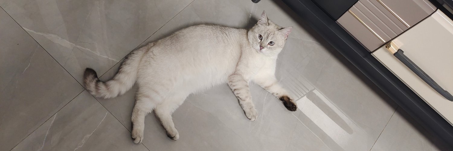 鲅鱼Bayuman banner