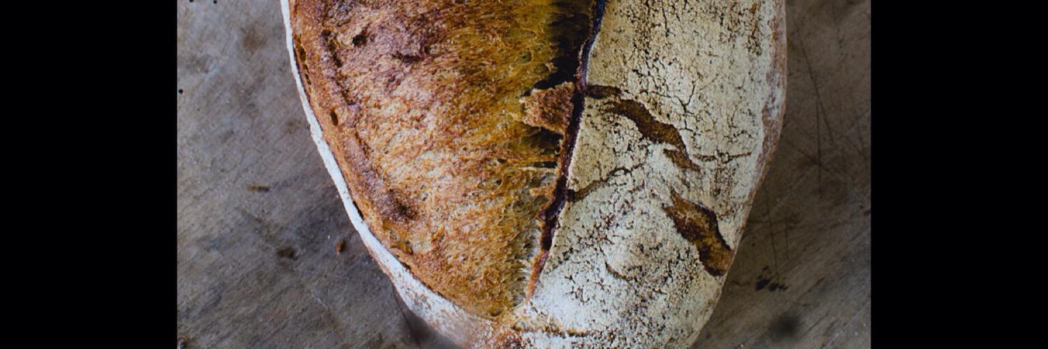 Stick Boy Bread Co banner