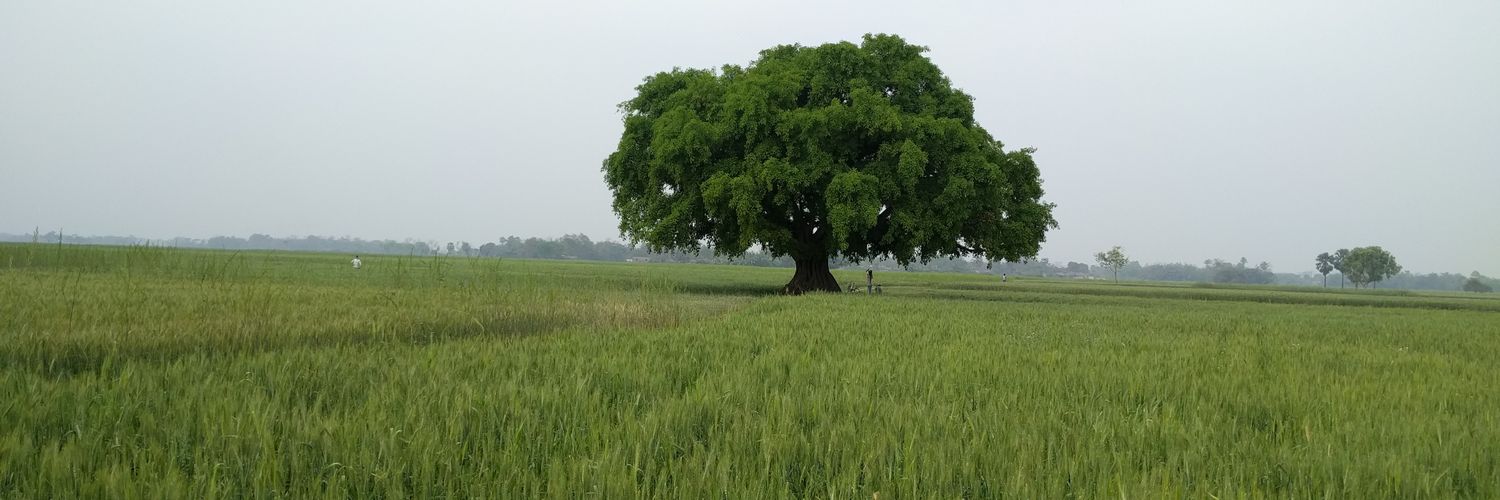 HumRahgir's profile banner image