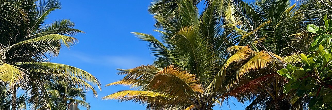 Morgan Irie banner
