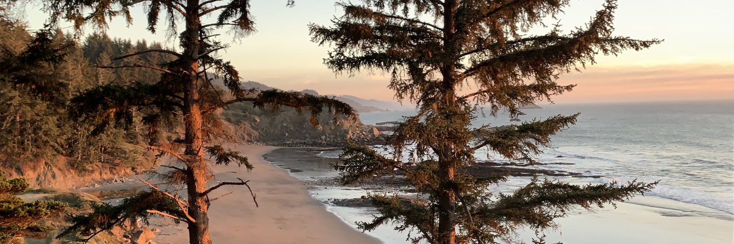 parlorplant's profile banner image