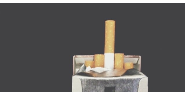 t__e__d__'s profile banner image
