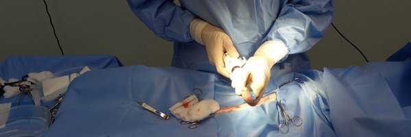 _VetSurgeon Profile Banner