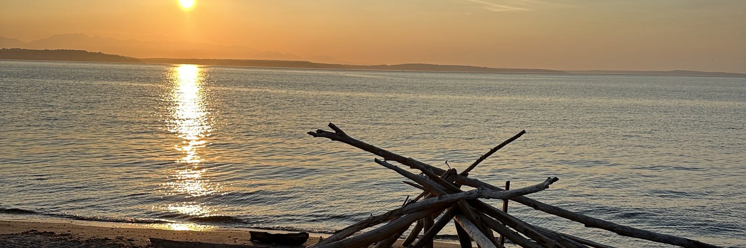 C. Scott ⁴² 🌴🌲 banner