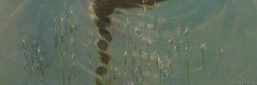 Mashi banner