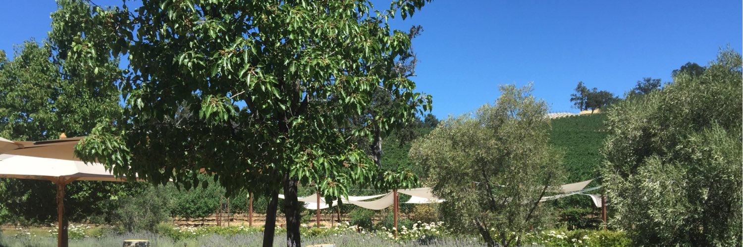 Chang Na MD MPH banner