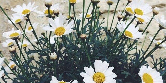 namtaans's profile banner image