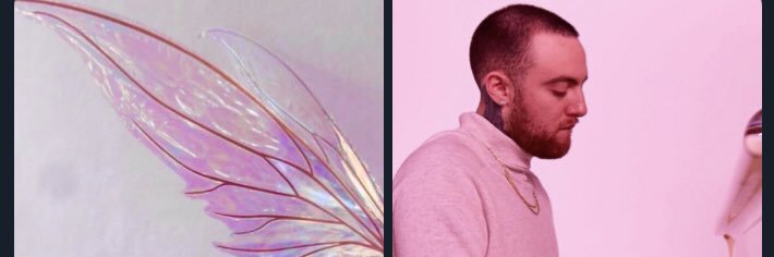 hailey 🦋🦂 banner