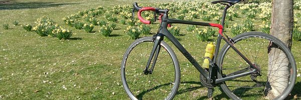 djarvils Profile Banner