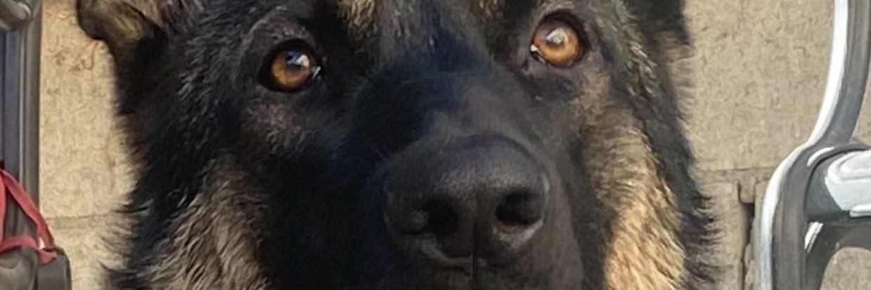 OnlyMoving's profile banner image