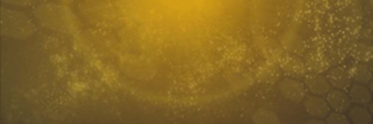 tactyuu's profile banner image