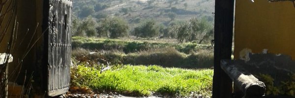 gabrielawiener Profile Banner