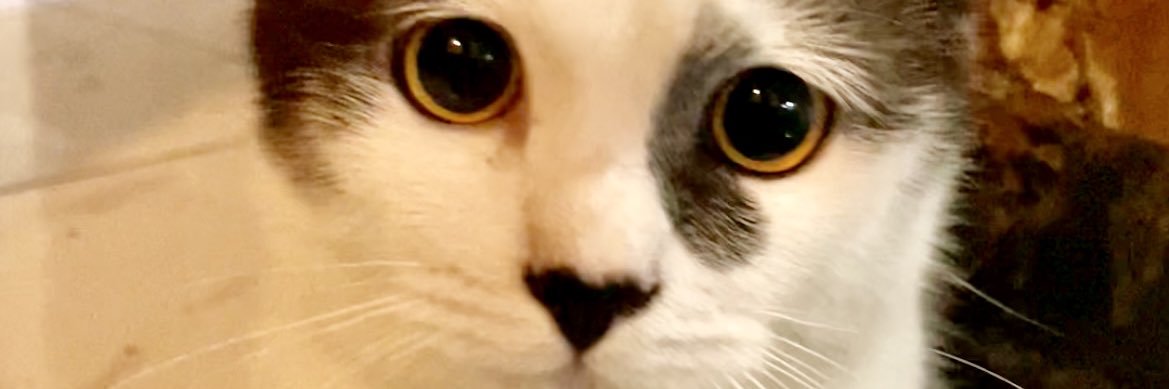 yutuberac's profile banner image