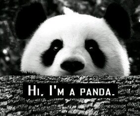 roxana_h's profile banner image