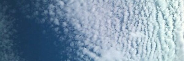 post_non Profile Banner