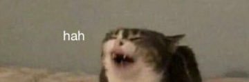 mokafloat's profile banner image