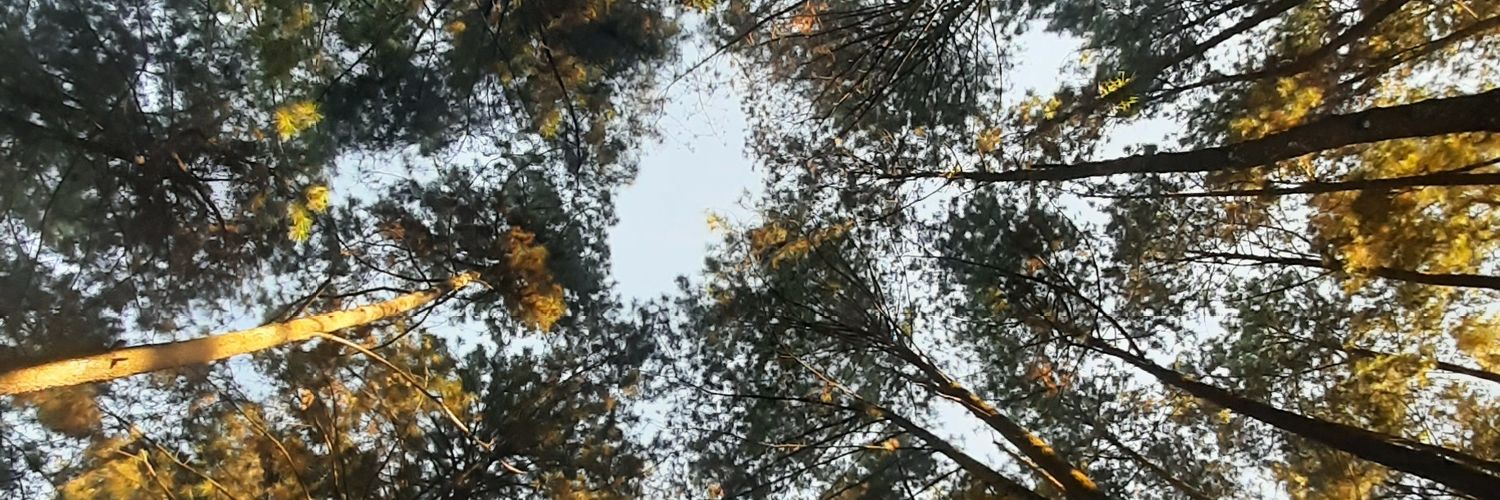 TiarPrasmana's profile banner image