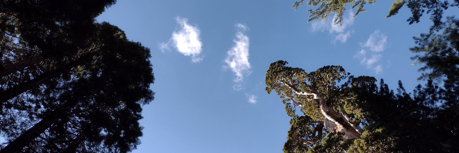 searchingthru's profile banner image