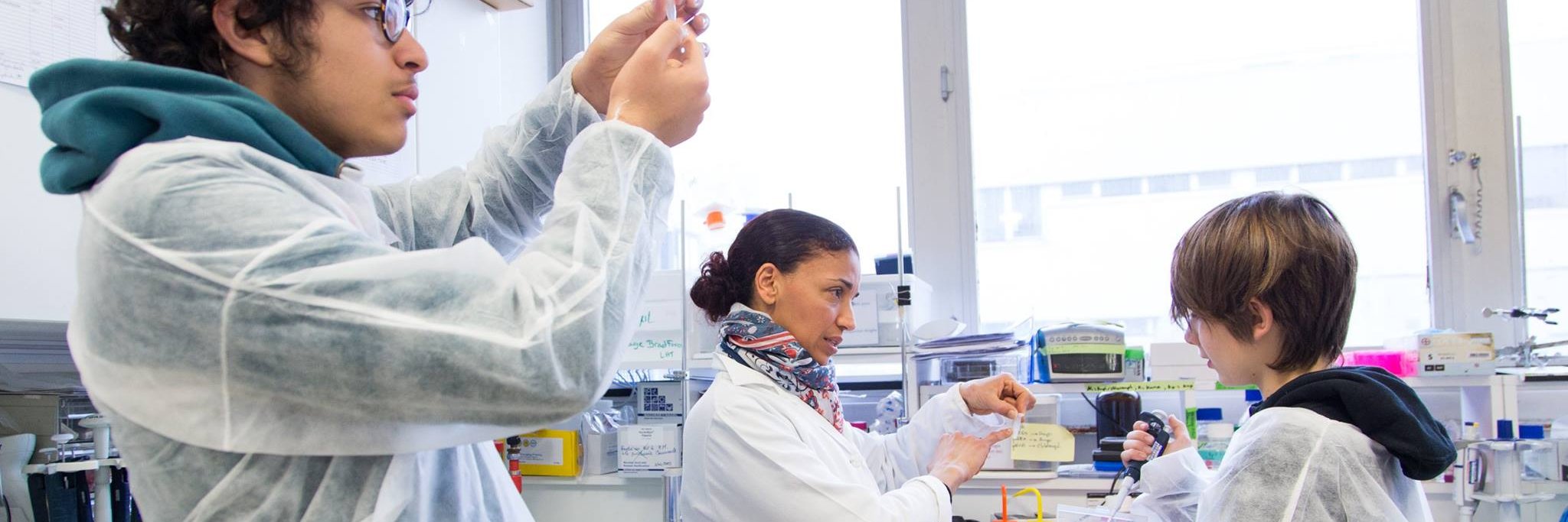 L'Arbre Des Connaissances banner