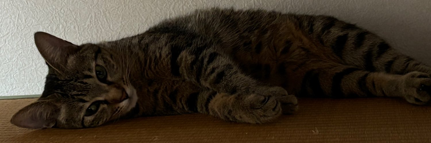 lilika554's profile banner image