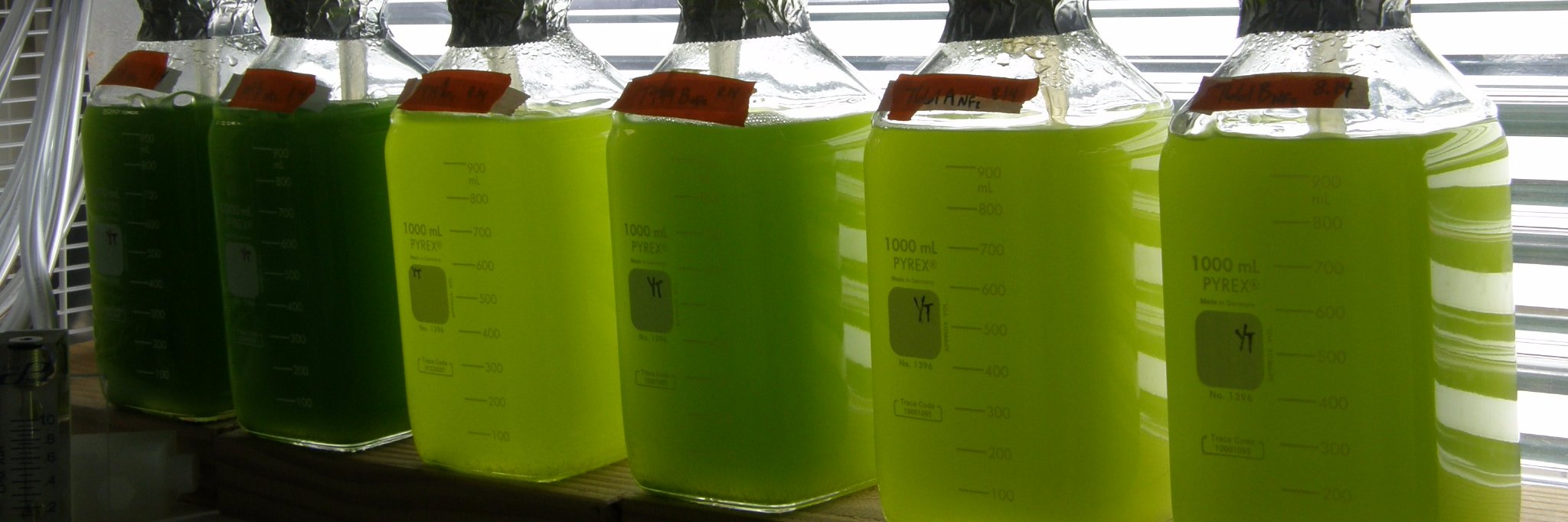 Biocombustibles banner