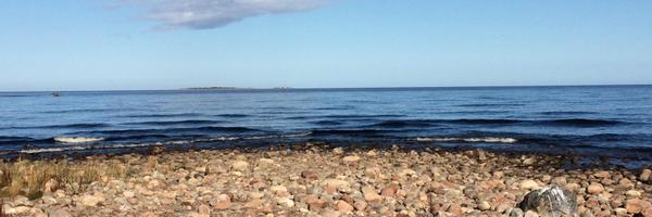 PellaMalmer Profile Banner