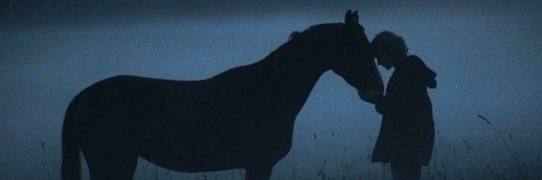alminabilir's profile banner image
