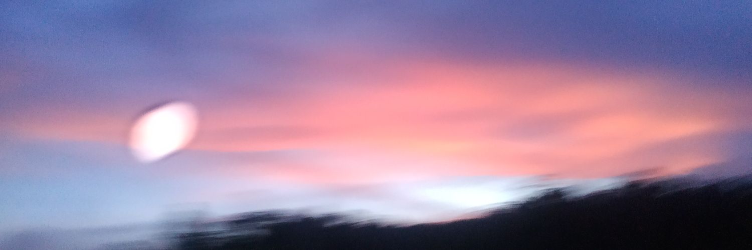 Delawilda's profile banner image