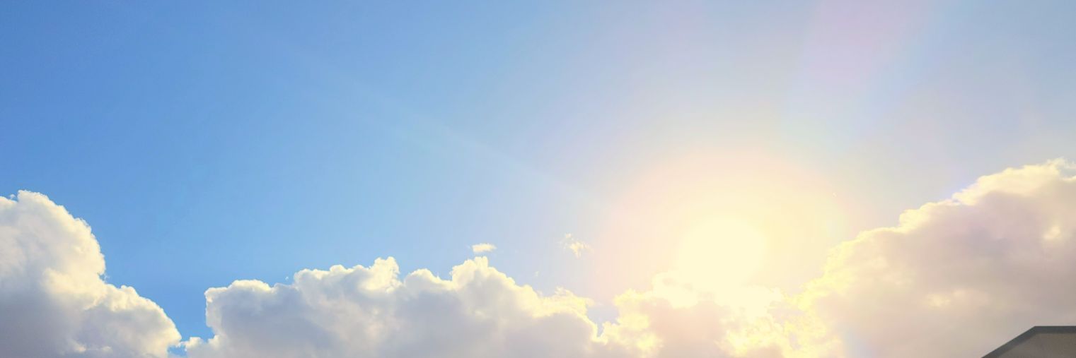 SueEdmark's profile banner image