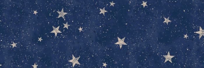 javie 🫐's banner