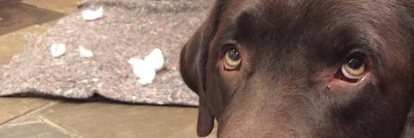 shouldbeworking Profile Banner