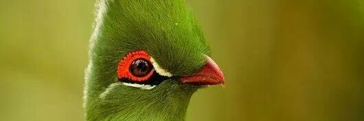 jayakumar7852's profile banner image