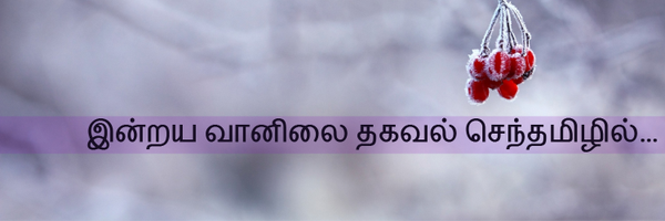 தமிழ் - வானிலை 💧 Profile Banner