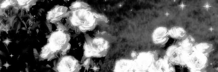 KAYLA GRIMALDI. banner