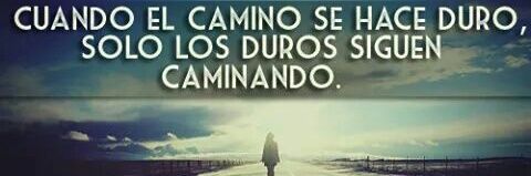 Rodo50571632's profile banner image