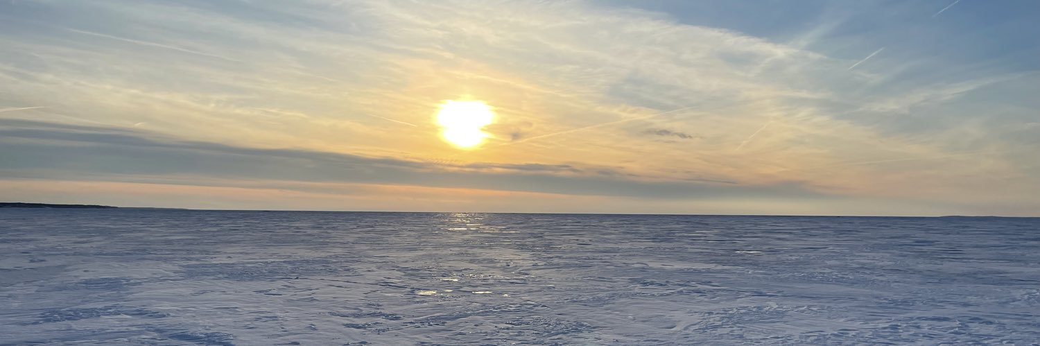 Nick Dalessandro banner