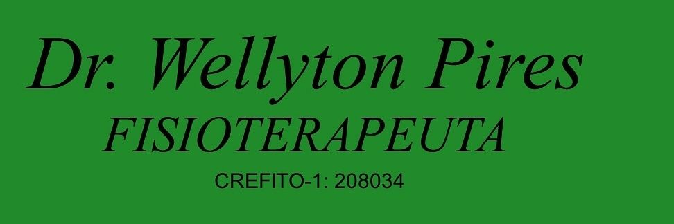 wellytonpires's profile banner image