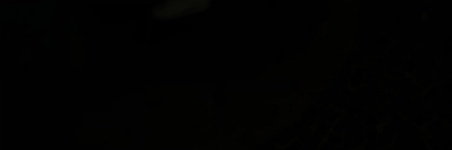 ingrid_lems's profile banner image