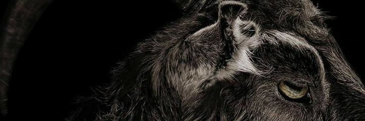 ordinaryfckguy_'s profile banner image