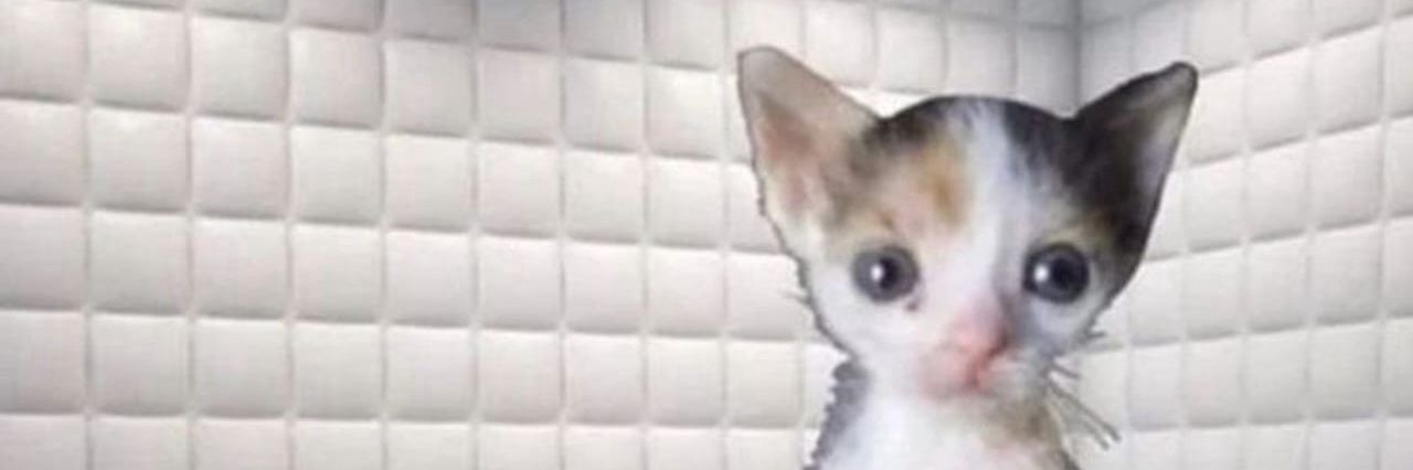 ✭Ratáurea✰ banner
