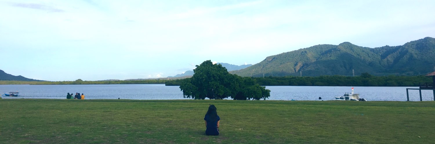 siiecce's profile banner image