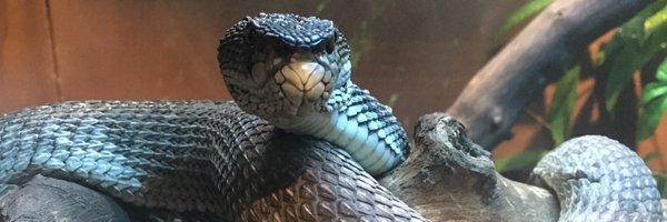 geoff_isbister Profile Banner